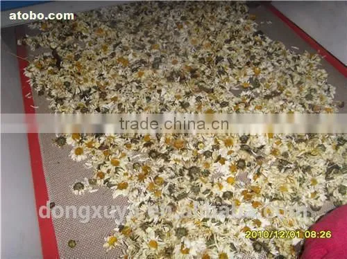 Microwave Sterilization Machine for Herbs photo-6