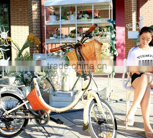 Mini, 20" Wheels High Speed Electric City Folding Bike photo-5