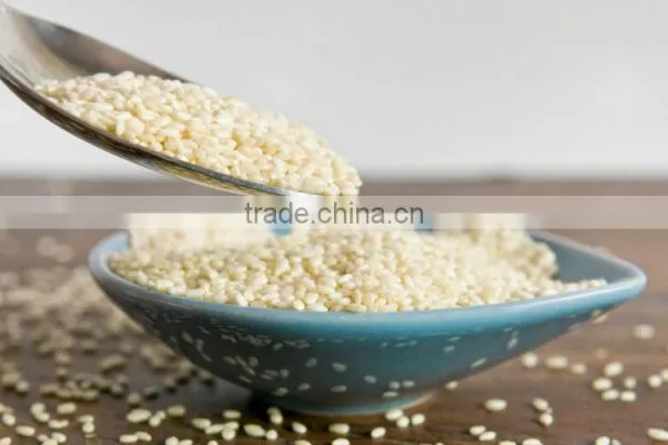 Sesame Seed Black P.e.| High Quality Black Sesame Seeds Powder Sesamin photo-6