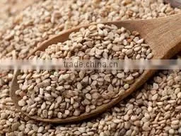 Premium Quality Sesame Seeds - Indian Origin