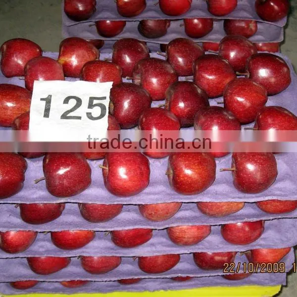 Red Delicious Apple photo-3