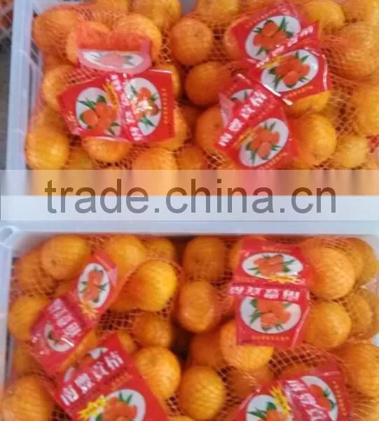 Chinese Fresh Citrus Orange Cheap Selling photo-3
