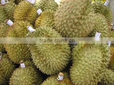 Fresh Durian Fruit for Sale