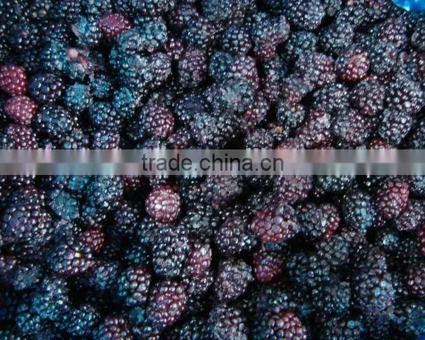 Bulk Frozen A Grade Blackberry Fruit photo-2