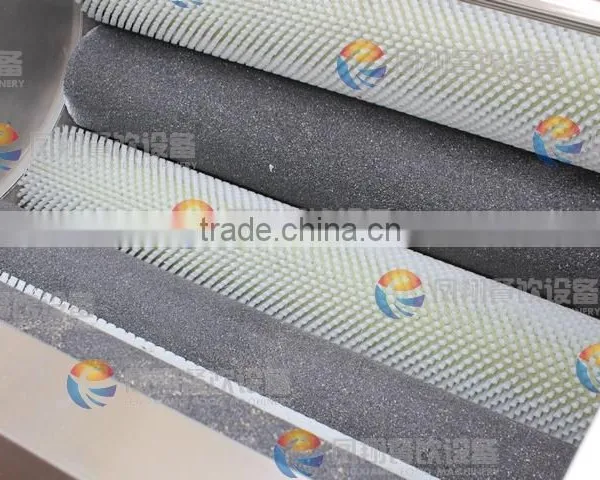 MSTP-80 High Efficiency Stainless Steel Potato Washing and Peeling Machine,shallot and Taro Peeling Machine photo-3
