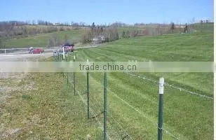Y Star Fence Post Pickets photo-2