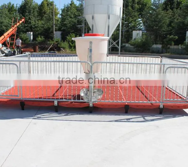 Poultry Feed Processing Equipment Stainless Steel Pigs Stall Nursery Crates photo-4