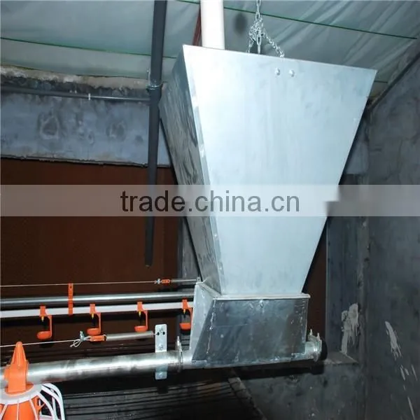 Automatic Chicken Poultry Feeder photo-6