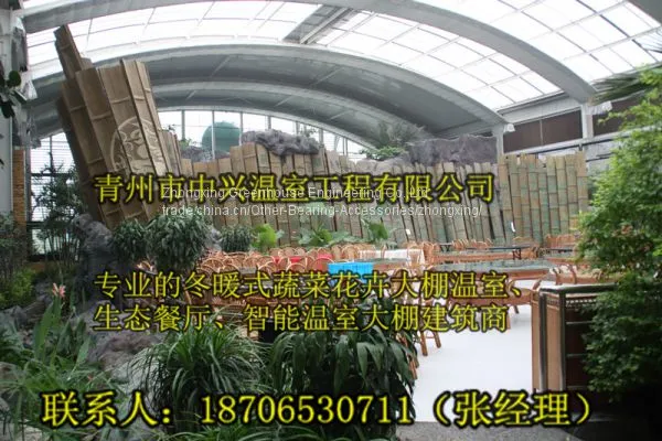 We Construct Vegetables Greenhouse More Professional photo-3