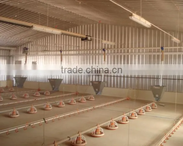 Poultry Farm Equipment for Raising Chickens on Ground photo-3
