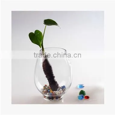 Dinosaur Egg Shaped Flower Glass Vase for Home Decoration Hydroponic Glass Terarium photo-3