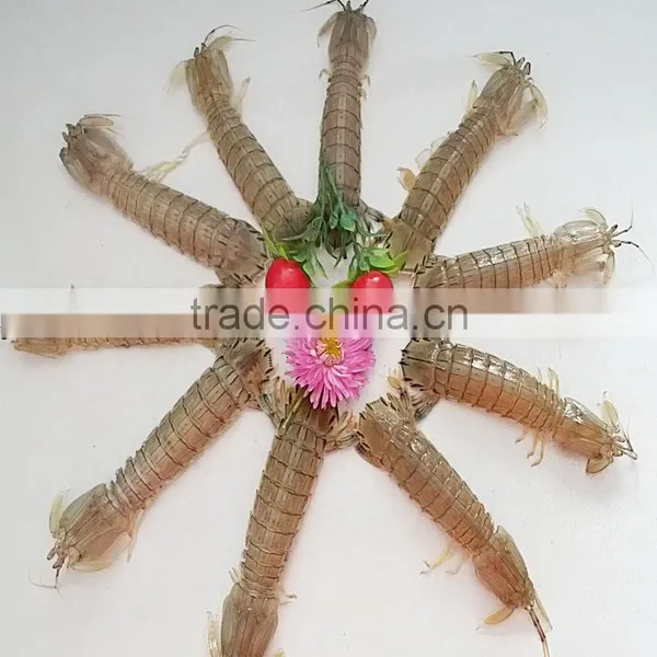 Claw Shrimp