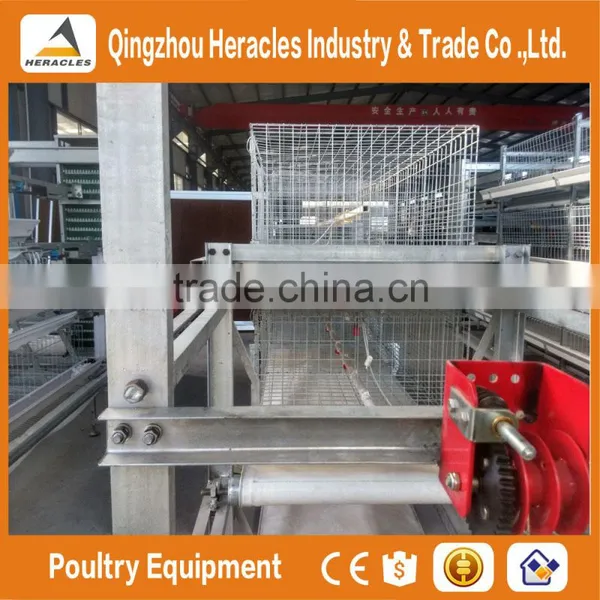 China Trade Assurance Chicken Bird Cage for Sale photo-5