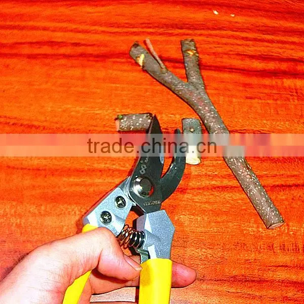 BY-pass Pruners(2) photo-4