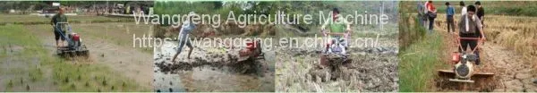 ] Farm Machine and Tools of Tillers and Cultivators photo-4