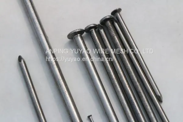 Cheap Wire Galvanized Common Nails Price for Construction photo-2