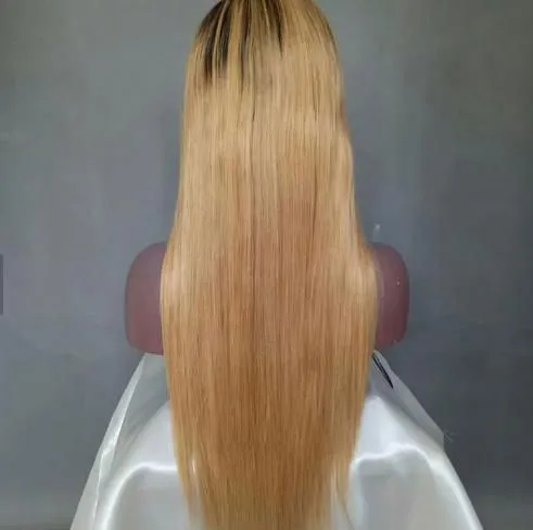 100% Virgin Remy Brazilian 10-26inch Straight 1b 27 Ombre Human Hair Wigs for Black Women Lace Front