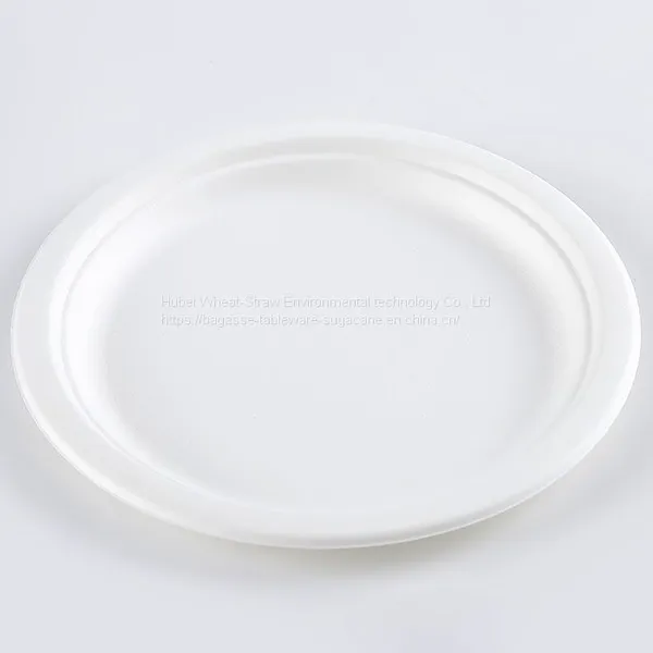 Disposable Biodegradable 9INCH PLATE Take Away Sugarcane photo-4