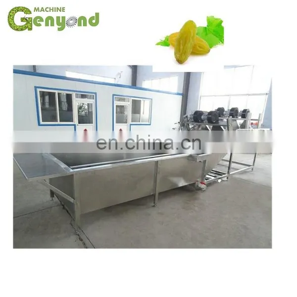 Plant for Raisin /dried Grapes Processing Machine photo-3