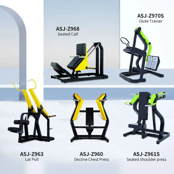 Factory Customizable Plate Loaded Gym Fitness Equipment For Legs Back Chest Shoulder Arms Training