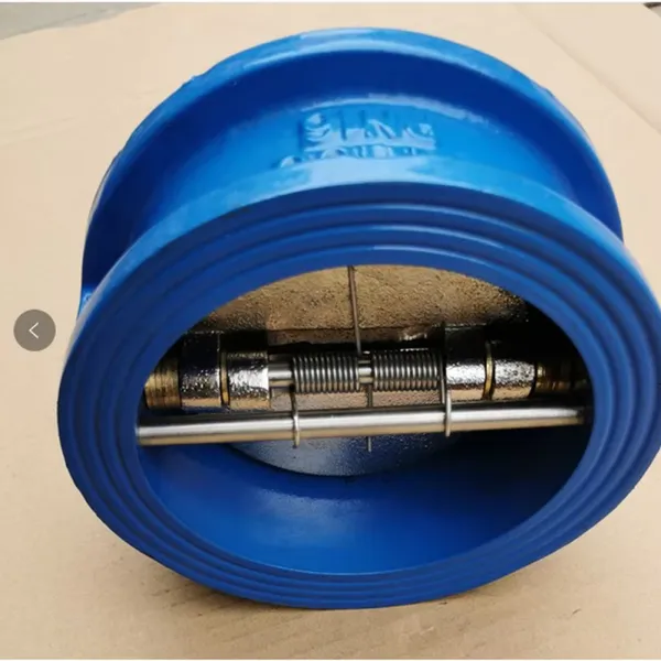 BS/EN/DIN Wafer Butterfly Double Disc Check Valve DH77X-16 Cast Iron Backflow Prevention Double Disc Check Valve DN800 photo-4