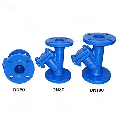 Corrosion Resistant Y-Strainer for Ballast Water Treatment Systems