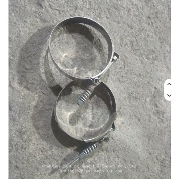 Spring Loaded T-bolt Clamp photo-5