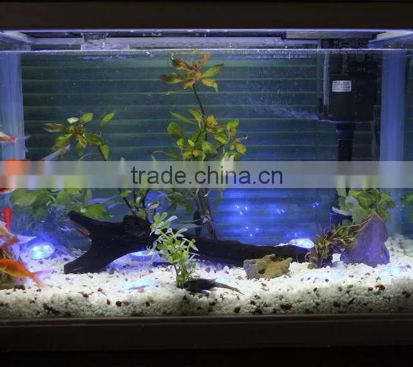 IP68 Waterproof Romantic Underwater Decorative Lights LED Point Light Source photo-3