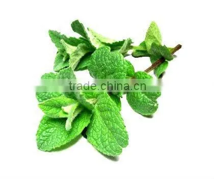 Dementholised Peppermint Oil