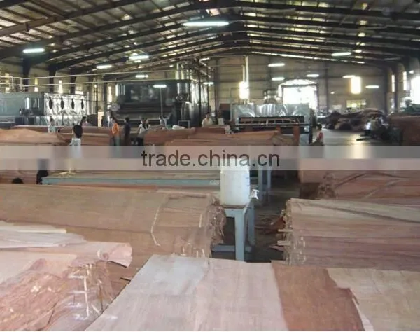 Wood Veneer Used for Plywood/engineered Wood Veneer/PLB Veneer photo-2