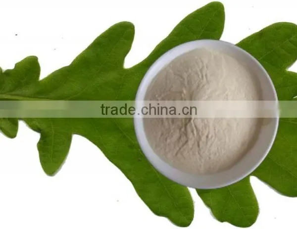 Kosher Fungal Chitosan photo-4