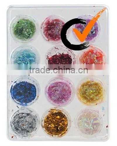 Proessinal nail art shell powder