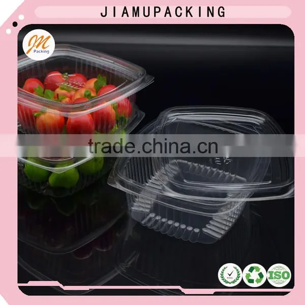 Disposable Plastic Food Container