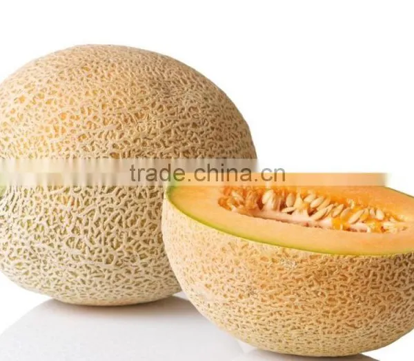 Strong Growth Anti Wilt Disease Melon Seeds Hybrid Melon Seeds Yellow Moon