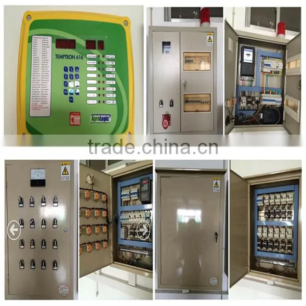 Broiler Chicken Shed Equipment photo-6