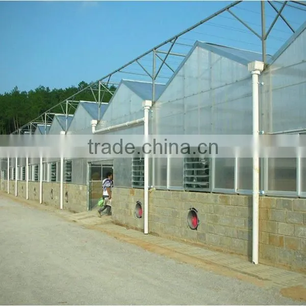 Anti-fog and UV-protection Garden Greenhouse,fiberglass Greenhouse Covering,commercial Hothouses photo-5