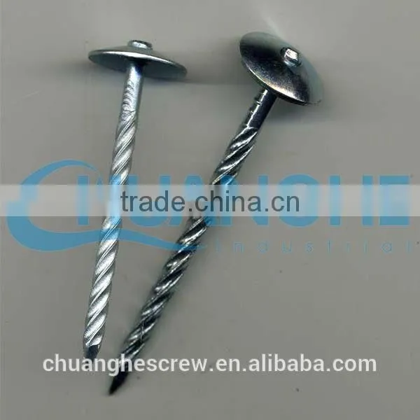 Wire Nails Manufacture in China photo-3