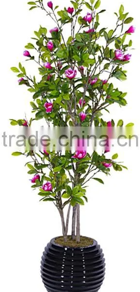Indoor Home Garden Decorative 250cm Height Make Artificial Green Live Magnolia Bonsai Tree EXLYPZ06 0510 photo-5