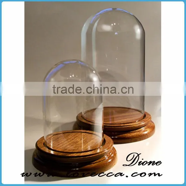 Mouth Blown Modern Decoration Glass Globe Customized Flower Clear Glass Display Dome photo-4