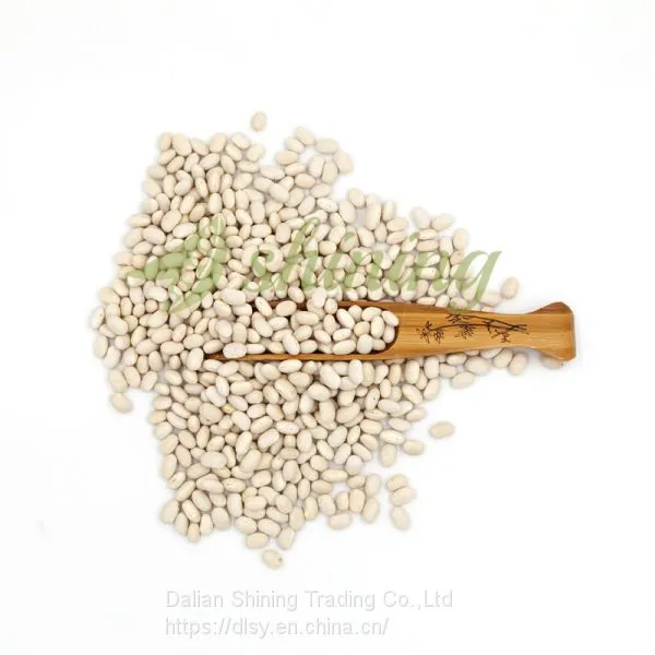 Canned Product Best Processing Japanese Type White Kidney Bean