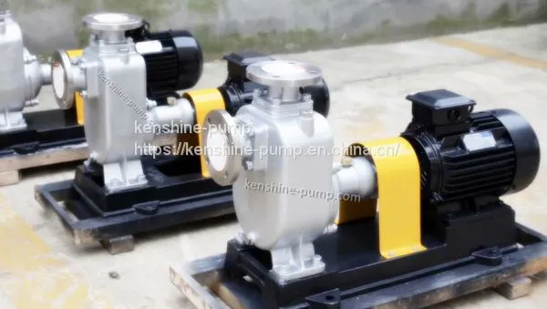 WBS Semi-open Impeller Stainless Steel Small Centrifugal Pump photo-5