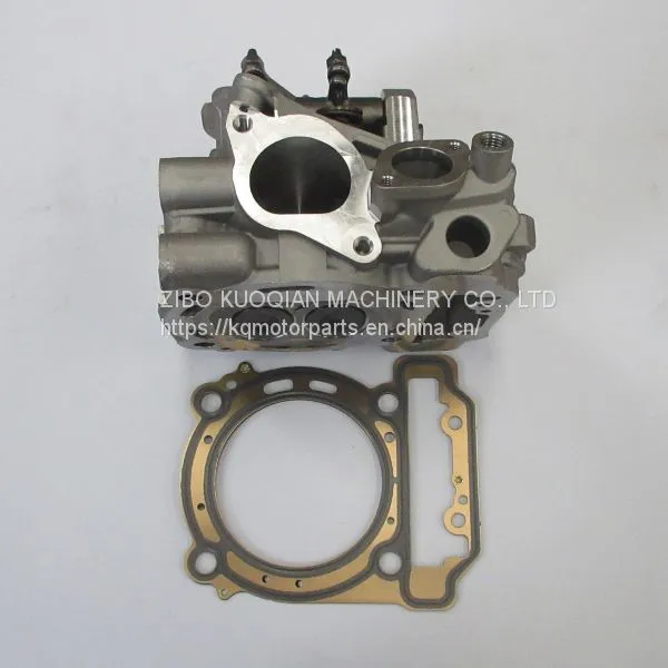 Cylinder Head for Can-Am BRP 1000 ATV Side by Side