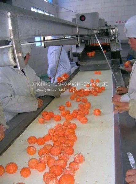 Automatic Orange Juice Machine for Citrus Orange Juice Processing Machinery Industrial Citrus Juice Extractor WT/8613824555378 photo-2
