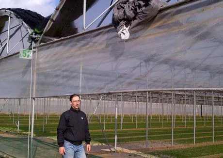50% Aluminum Shade Net For Greenhouse Shading, Vegetable Garden Protection Silver Shade Mesh,UV Resistant Plastic Thermal Screen photo-2