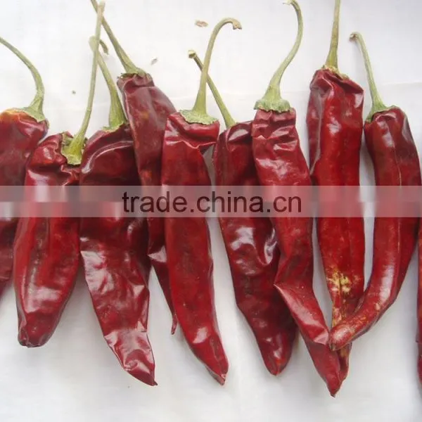 China Exported Dry Red Chilli ,yidu Pepper photo-4