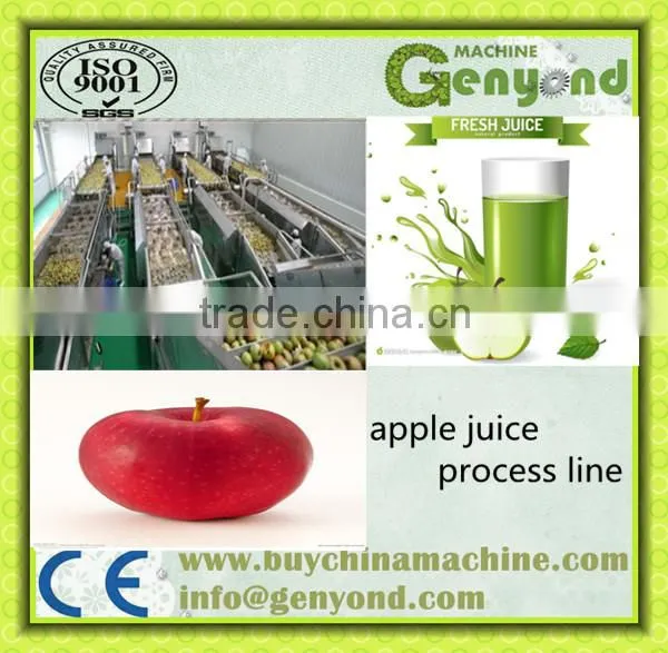 Fruit Juice Processing Line (Fruit Processing Complete Line)