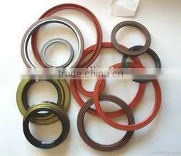 China Seal Manufacturers Heavy Duty Truck Oil Seal photo-2