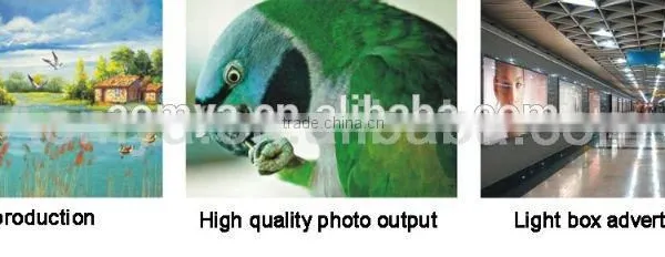 Wider Color Gamut Pigment Ink for Epson Stylus Pro 9710 photo-2