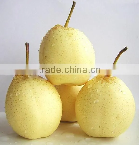 China Fresh Sweet ya Pear With High Quality photo-6