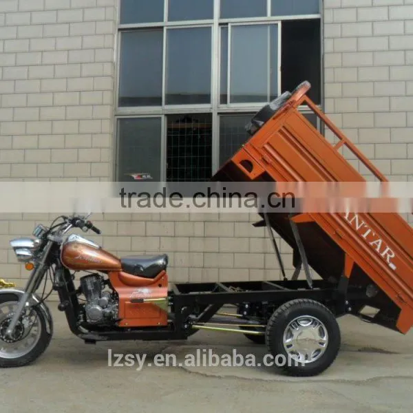 Motorcycle Rickshaw T-rex Motorcycle Trike (SY150ZH- C5) photo-5